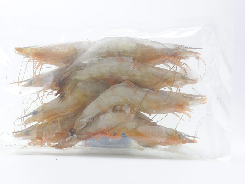 Sea Shrimp In Bohai Bay