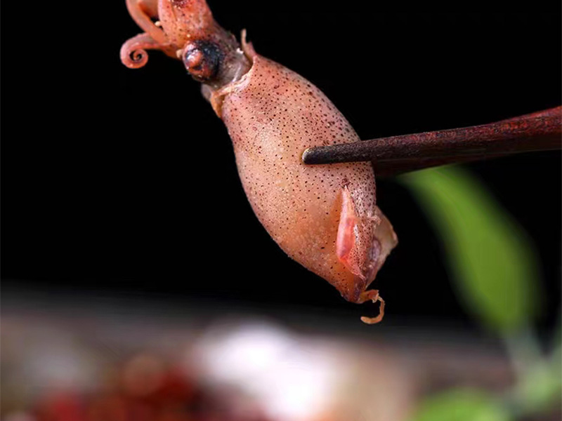 Dried Cuttlefish