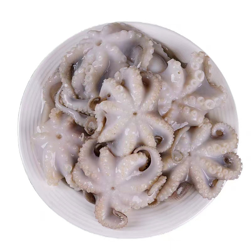 Frozen Octopus