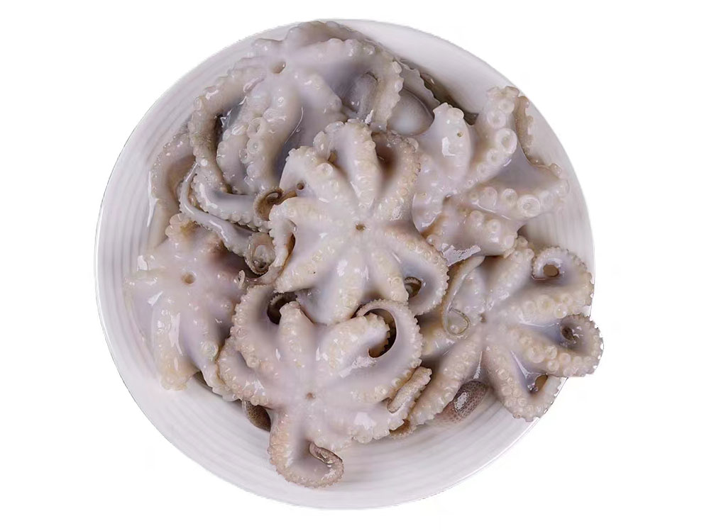 Frozen Octopus