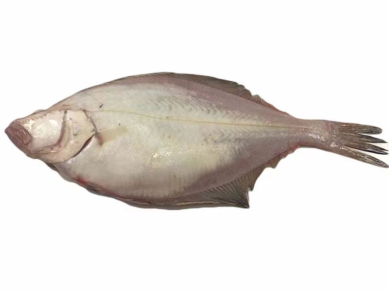 Skewfish