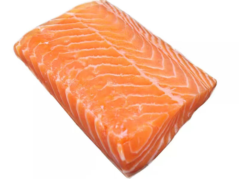 Salmon