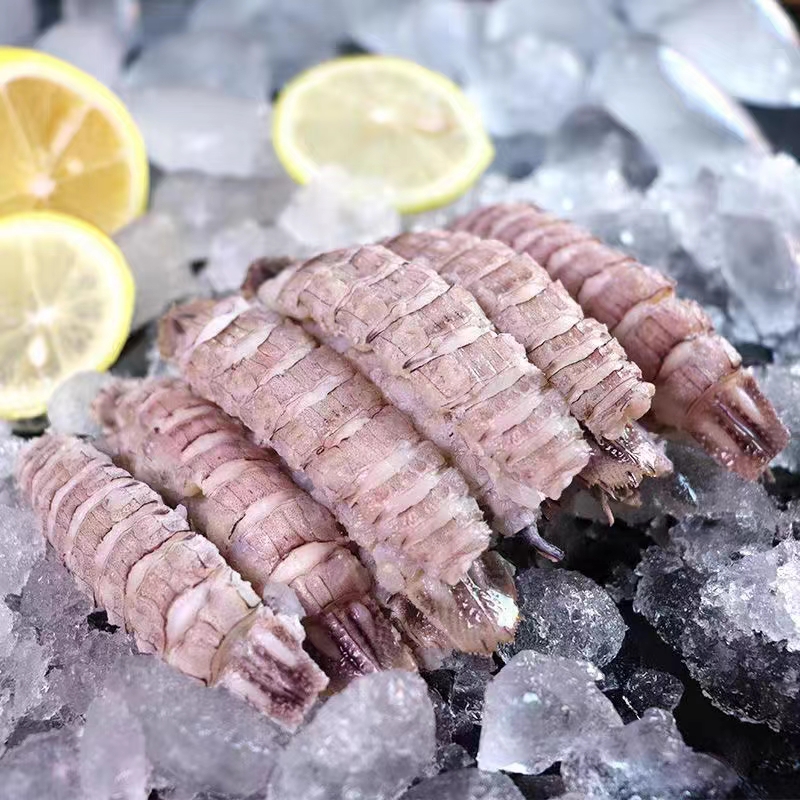 Mantis Shrimp Meat