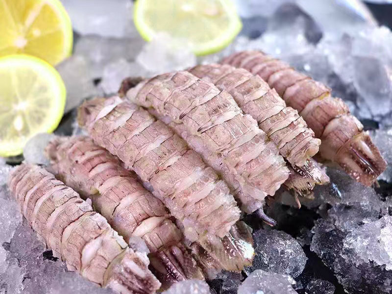 Mantis Shrimp Meat