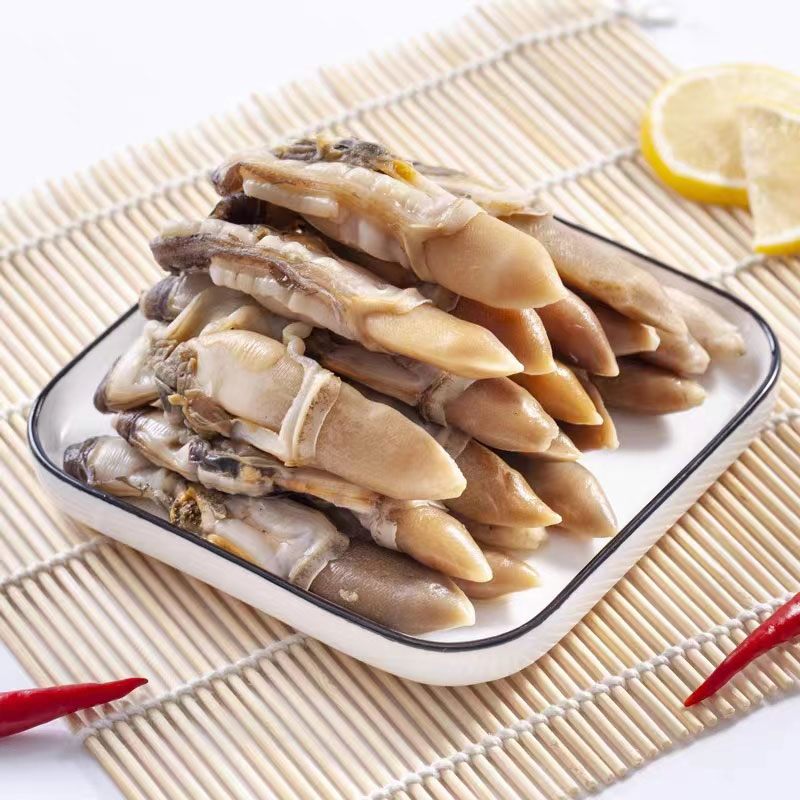 Razor Clam