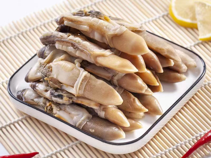 Razor Clam